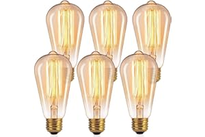 Edison Light Bulbs,60W Incandescent Light Bulbs,E26 Base Dimmable Vintage Decorative Antique Filament ST64 Light Bulbs,Amber 