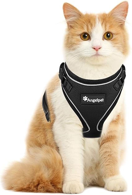Amazon 猫 猫用 ハーネス 胴輪 猫具 ねこ ネコ 子猫 子犬 小型犬 散歩 お出かけ 抜けない ベスト ソフト胸あて 軽量 頭を通さずマジックテープで装着 サイズ調節可 夜反射 通気メッシュ 黒 Sサイズ リード付いていない Angelpet ハーネス 通販