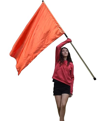 6 '(pied) Couleur Guard "Super Force" Drapeau Pole Sac En Director's Showcase (DSi