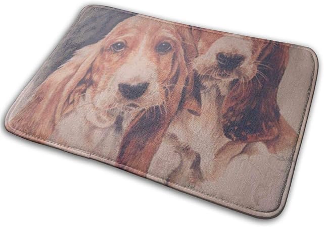 dog bath mat