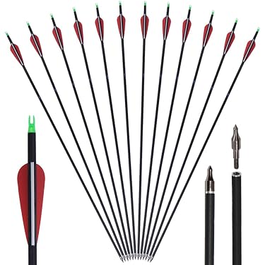 6 Flèches Carbone Pour Arbalète – 22 Pouces – 125 Grains – Cible – NEUF – Quantum Break
