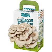 Back to the Roots Organic Mini Mushroom Grow Kit, Harvest Gourmet Oyster Mushrooms In 10 days, Top Gardening Gift…