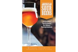American Sour Beer