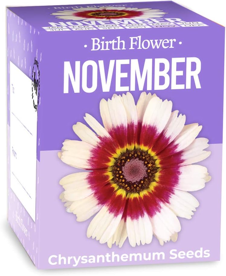 Gift Republic GR130039 November Birth Flowers, 9.0 cm*9.5 cm*7.9 cm, Purple