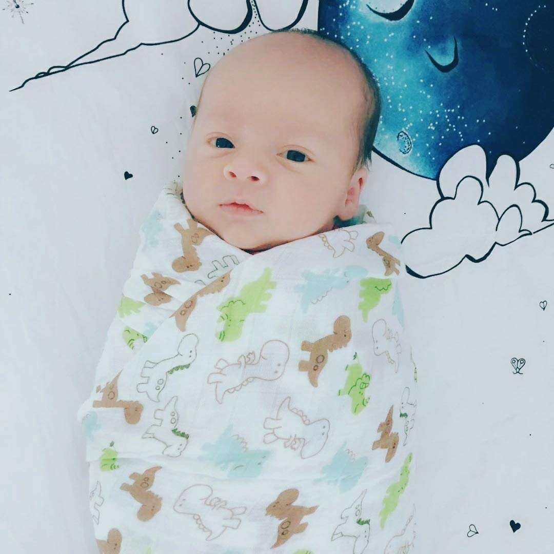 Baby Swaddle Blanket Upsimples Unisex Swaddle Wrap Soft Silky Bamboo Muslin Swaddle Blankets Neutral Receiving Blanket for Boys and Girls, 47 x 47 inches, Set of 4 - Fox/Elephant/Giraffe/Dinosaur: Baby