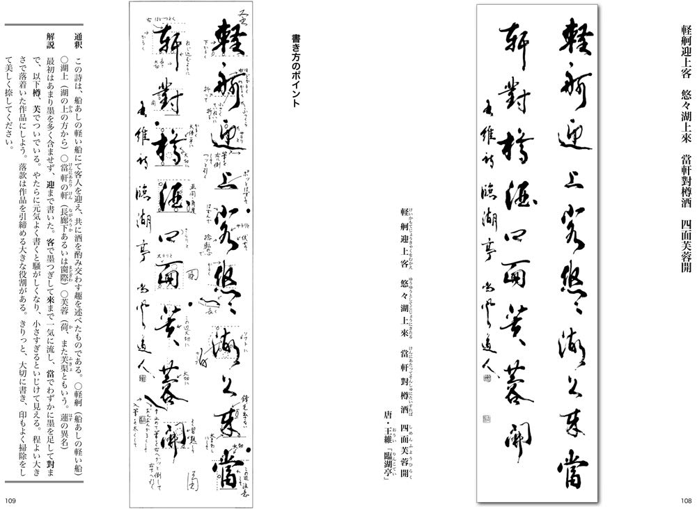 Beautiful Article The Width Of Litmus Test Amazon Com Books