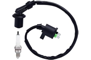 WETENEX GY6 150cc High Performance Racing Ignition Coil Used on 50CC 80CC 90CC 110CC 125CC 150CC ATV Quad Go Kart Moped Scooter and more