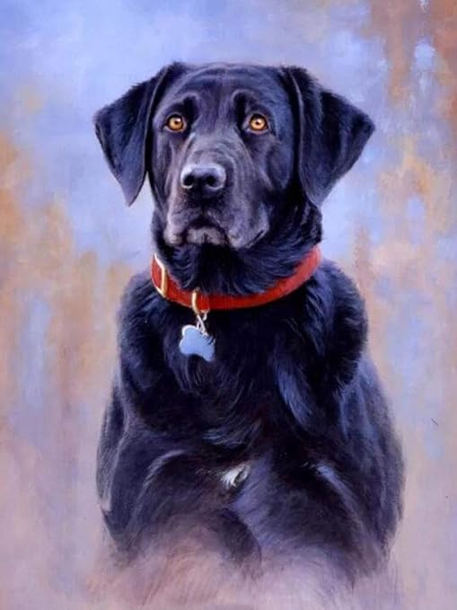 labrador paint by numbers