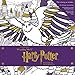 Harry Potter: Winter at Hogwarts: A Magical Coloring Set