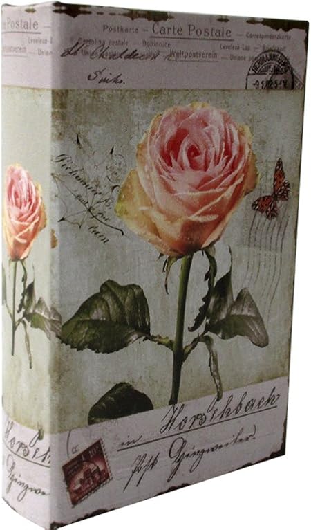 Libro caja fuerte con llave - Modelo Rosas: Amazon.es: Hogar