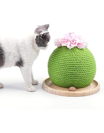 Arbres à Chat Amazonfr