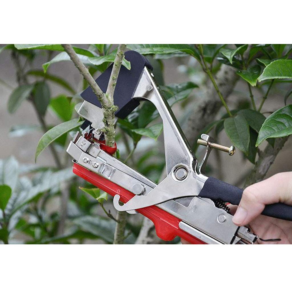 Fenteer cafetera Taper tutores Plantas Herramienta de Nudos ...