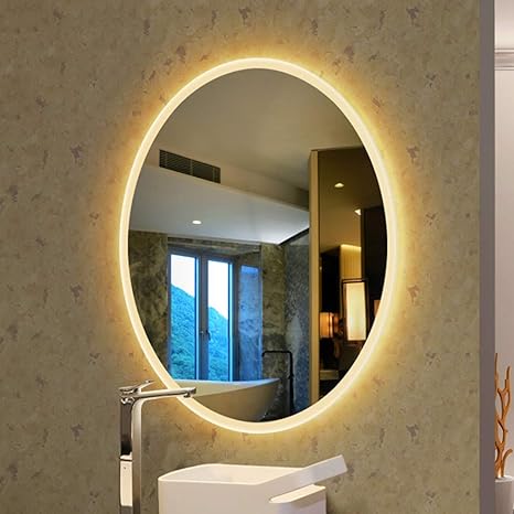 Wall Mounted Vanity Mirror With Light Modern Oval Makeup