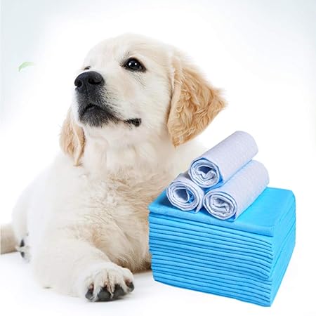 puppy pads amazon