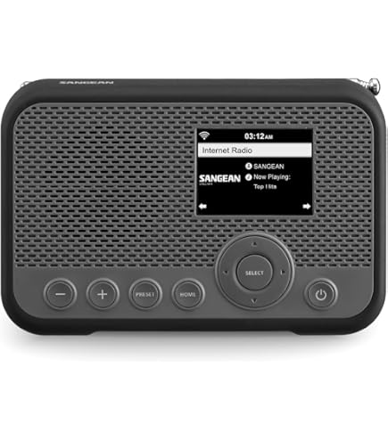 Amazon.com: Sangean WFR-28 Internet Radio/FM-RBDS/USB/Network