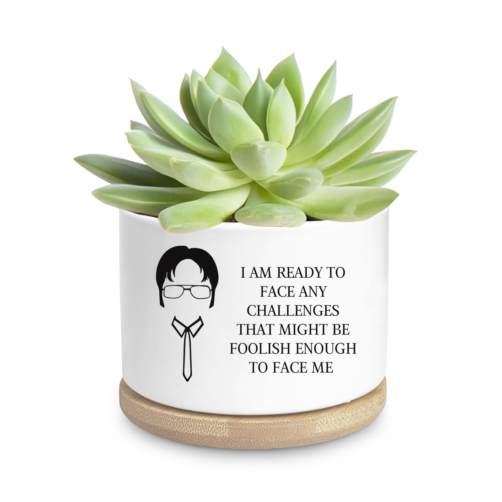 Photo 1 of Planter only---Ywkuiev Succulent Planter, Flower Cactus Plant Pot The Office Merchandise Gift Encourage for Coworkers Men Women Friends Birthday Housewarming Gift, Office Windowsill Decor (Not Included Plants)