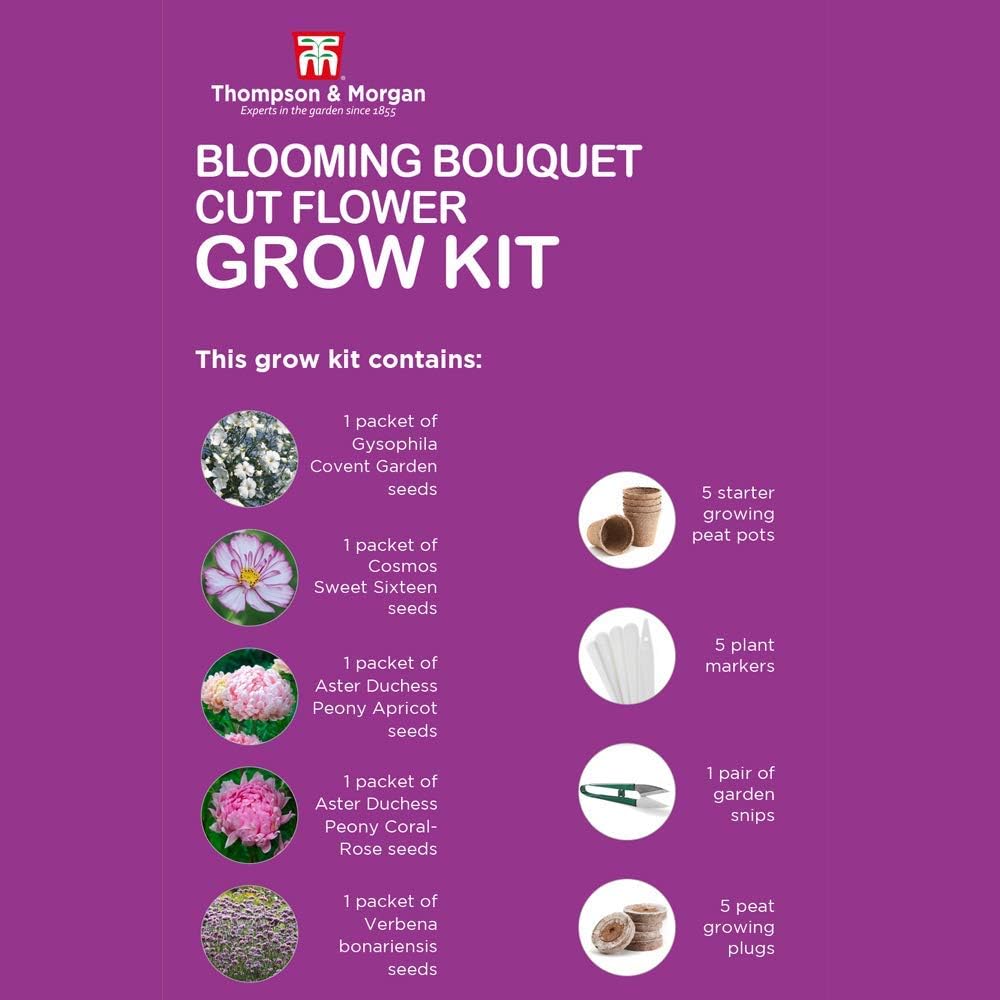 Blooming Bouquet Seed Growing Kit Gift Box, Grow Your Own Cut Flowers, Gypsophila, Cosmos - Image 5