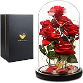 Valentines Day Rose Gifts for Women,Beauty and Beast Rose in Glass Dome with LED Light,Glass Rose Flower Gifts for Her Valentines Birthday Gifts for Women Mom Wife Girlfriend Friend Forever Red Rose
