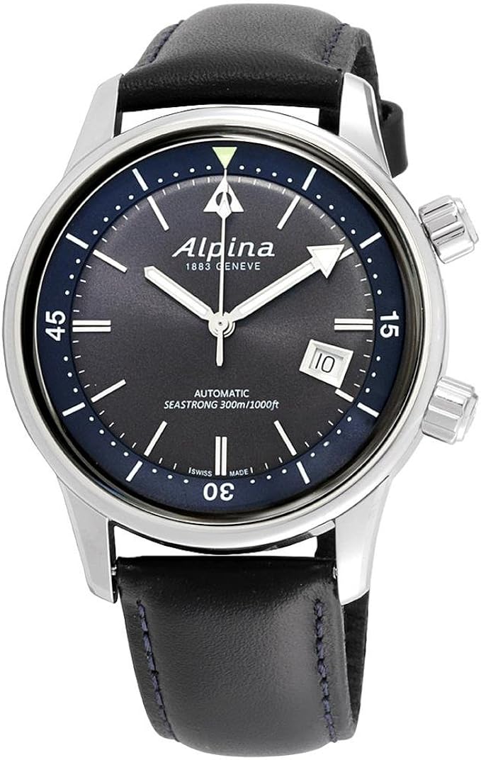 alpina diver