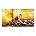 Custom printed Throw Blanket with Bicycle Decor Vintage Bike in front of A Rusty Dirty Cracked Broken Brick City Lifestyle Artsy Photo Decor Sepi Super soft and Cozy Fleece Blanket