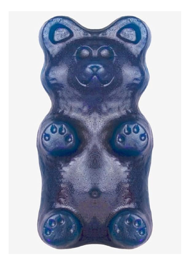 Amazon Com The Original World S Largest Giant 2 Pound Gummy Grizzly Bear Edible Novelty Candy Blue Raspberry Grocery Gourmet Food