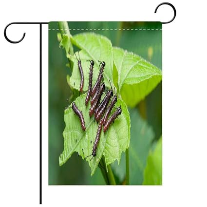 Amazon Com Beicici Custom Personalized Garden Flag Outdoor Flag