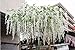 COOBL 3.6 Ft Realistic Romantic Classic Artificial Fake Wisteria Vine Ratta Silk Flowers for Garden Floral Decoration DIY Living Room Hanging Plant Vine Home Party Wedding Decor 12 Pcs(White)