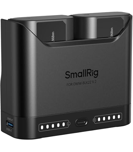 Amazon.com: VINTRONS Replacement Battery for PANASONIC Lumix DMC