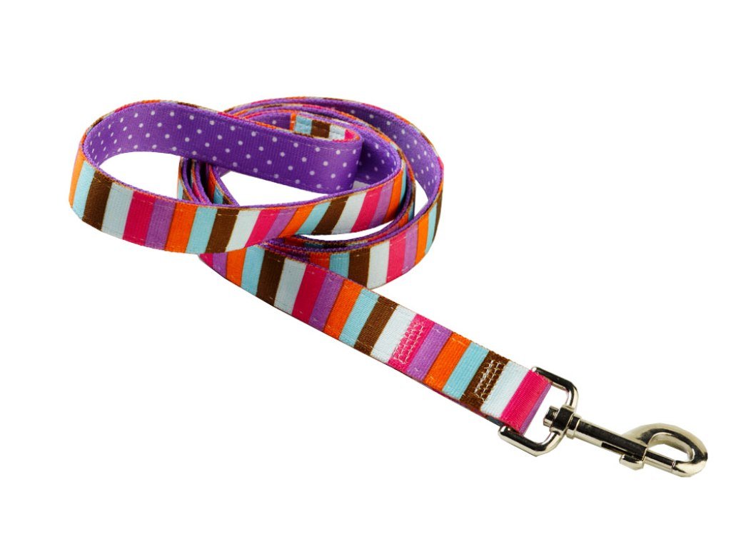 Yellow Dog Design Uptown Multi-Strike on Polka Dot Dog Lead, 3/4-inch, Purple