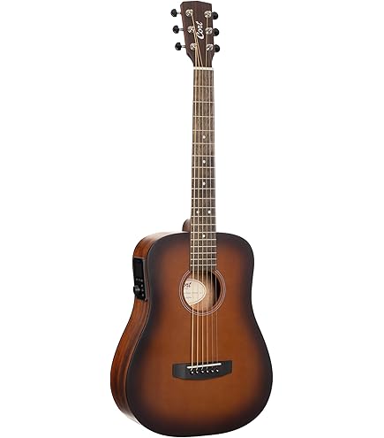 Amazon.com: Cort Earth Series Dreadnought Acoustic Guitar Starter
