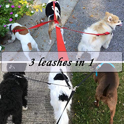 Wellbro 3 in 1 Durable Nylon Dog Leash with Padded Handle, Three- Way Pet Leash with a Coupler, Adjustable and Detachable, Lead for Small, Medium Dogs (Multi-Color)