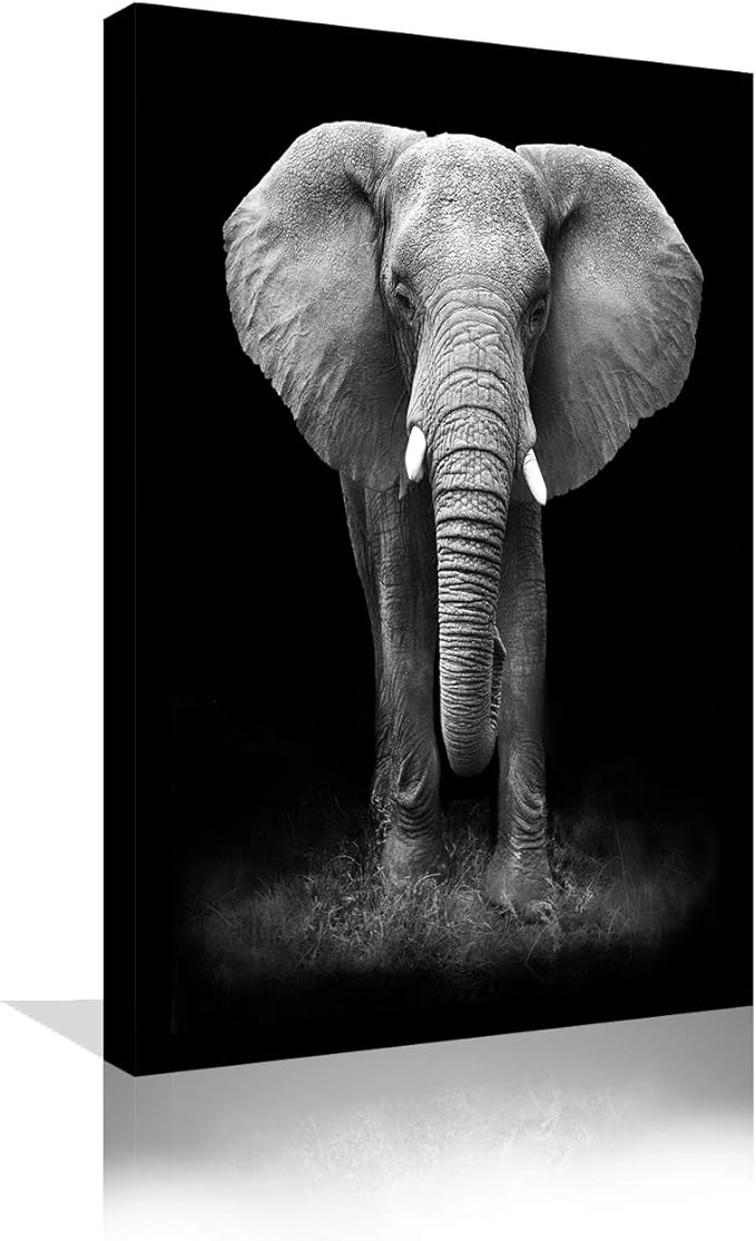 Amazon.com: Urttiiyy Black and White Elephant Wall Art Modern Animal