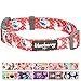Blueberry Pet 11 Patterns Spring Scent Inspired Rose and Polka Dot Print Brink Pink Adjustable Dog Collar, Medium, Neck 14.5