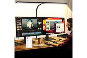 Double Head LED Desk Lamp with Remote Control - Eye Caring Desk Light for Home Dorm Office 24W Brightest Office Lamp for Work