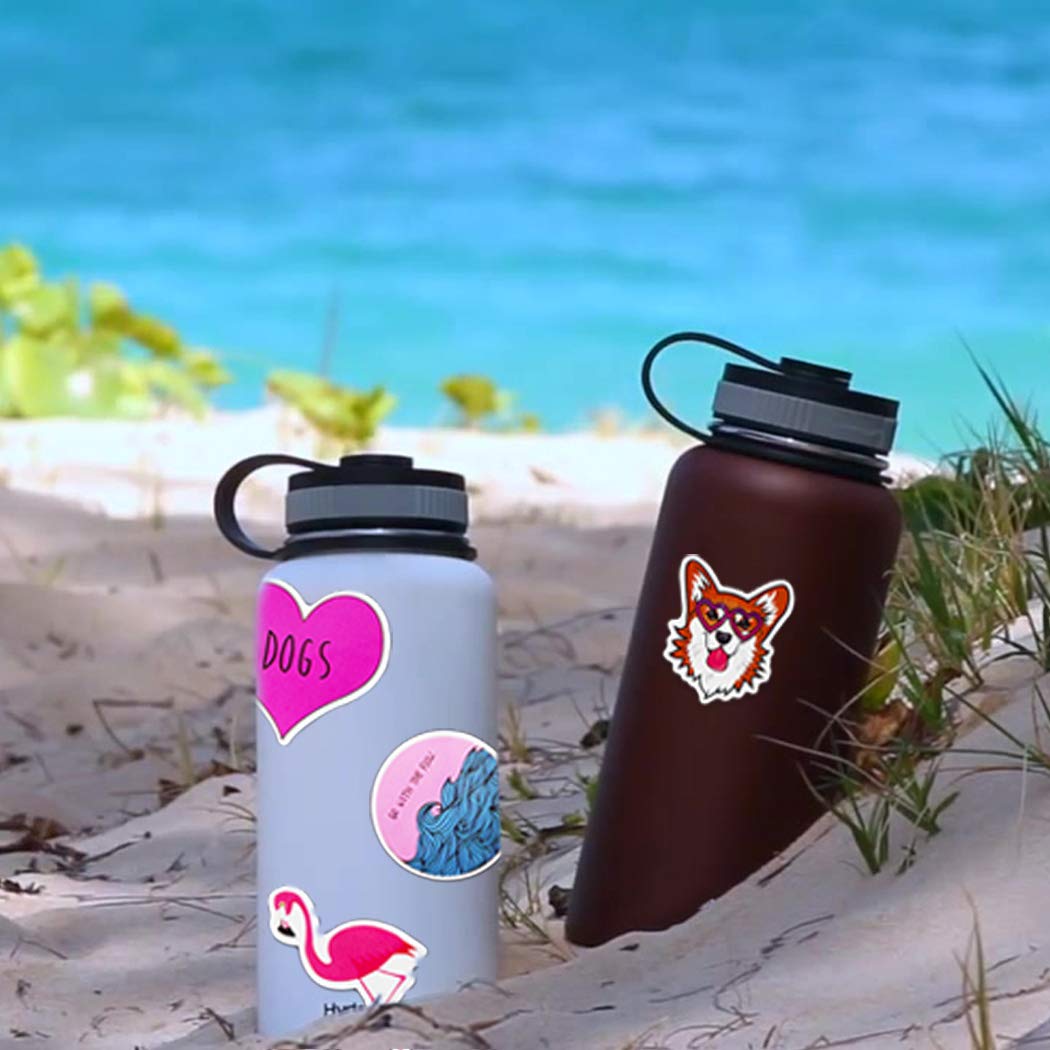 Water Bottle Stickers, Vsco for Hydro Flask Stickers Laptop Stickers