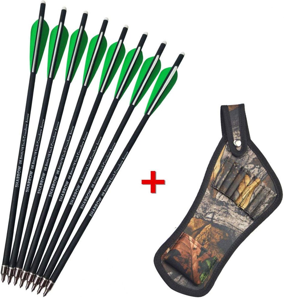 faretra dell'anca per bulloni