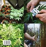 Image de Cannabis/ Cannabis Cultivator: Guia completa para el cultivo de marihuana/ A Complete Guide to Cannabis Cultivation (Spanish Edition)