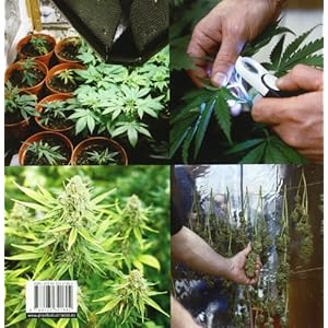 Cannabis/ Cannabis Cultivator: Guia completa para el cultivo de marihuana/ A Complete Guide to Cannabis Cultivation (Spanish Edition)