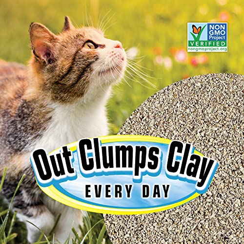 SmartCat All Natural Clumping Cat Litter, 20 Pound (320oz 1 pack