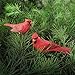 GALLERIE II Cardinal Birds Clip Christmas Xmas Ornament Assortment of 2 A/2 RED