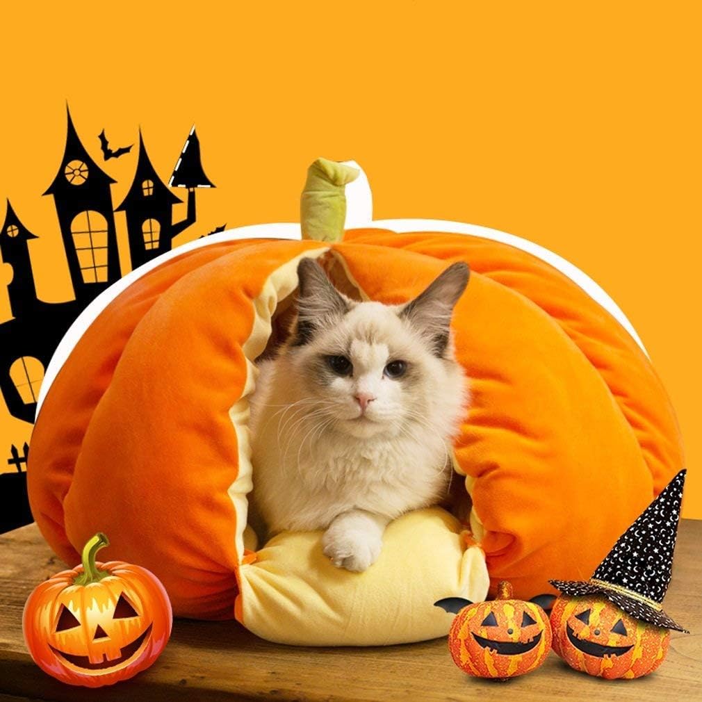 pumpkin cat bed