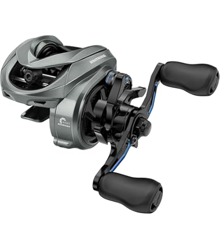 Amazon.com : Shimano Bait Reel 23 Calcutta Conquest BFS XG Right