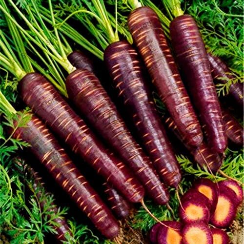 semillas de hortalizas frescas de zanahoria SVI 100pcs para ...