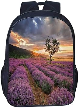 Amazon Co Jp 風景の装飾 耐久性のあるダブルブラックバックパック 恐ろしいホラー映画テーマ 淡い草の庭の夕暮れ家 教室用 長さ11 8インチ X 幅6 2インチ X 高さ15 7インチ マルチ12 11 8 L X 6 2 W X 15 7 H 服 ファッション小物