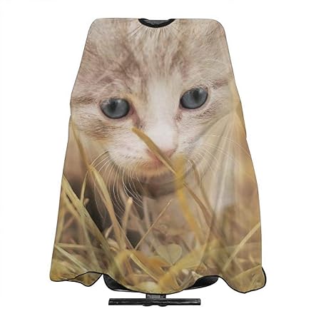 Amazon.com : Cute Baby Kitten Cat Pet Playful Charm Haircut Apron For