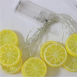 Fruit String Lights Battery Powered Indoor Outdoor
