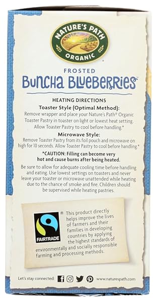 NATURES PATH FROSTED BLUEBERRY TOASTER PASTRY (12X11 OZ)