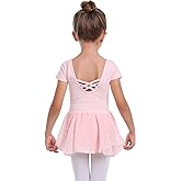 danswan Toddler Girls Long Sleeve Ballet Leotards Dance Dresses Tutu Outfit Ballerina with Glitter Skirt