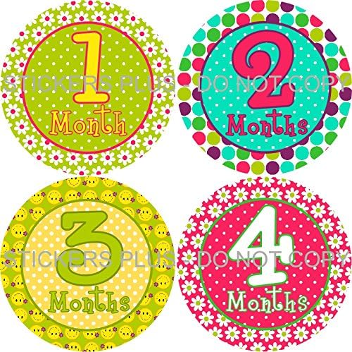 Baby Girl Month Stickers Monthly Baby Milestone Stickers Daisy Flower Dots Smiley Face Yellow Aqua Pink Green