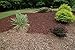 EnviroColor CB0032 Cocoa Brown Mulch Dye, 2400 Square Feet